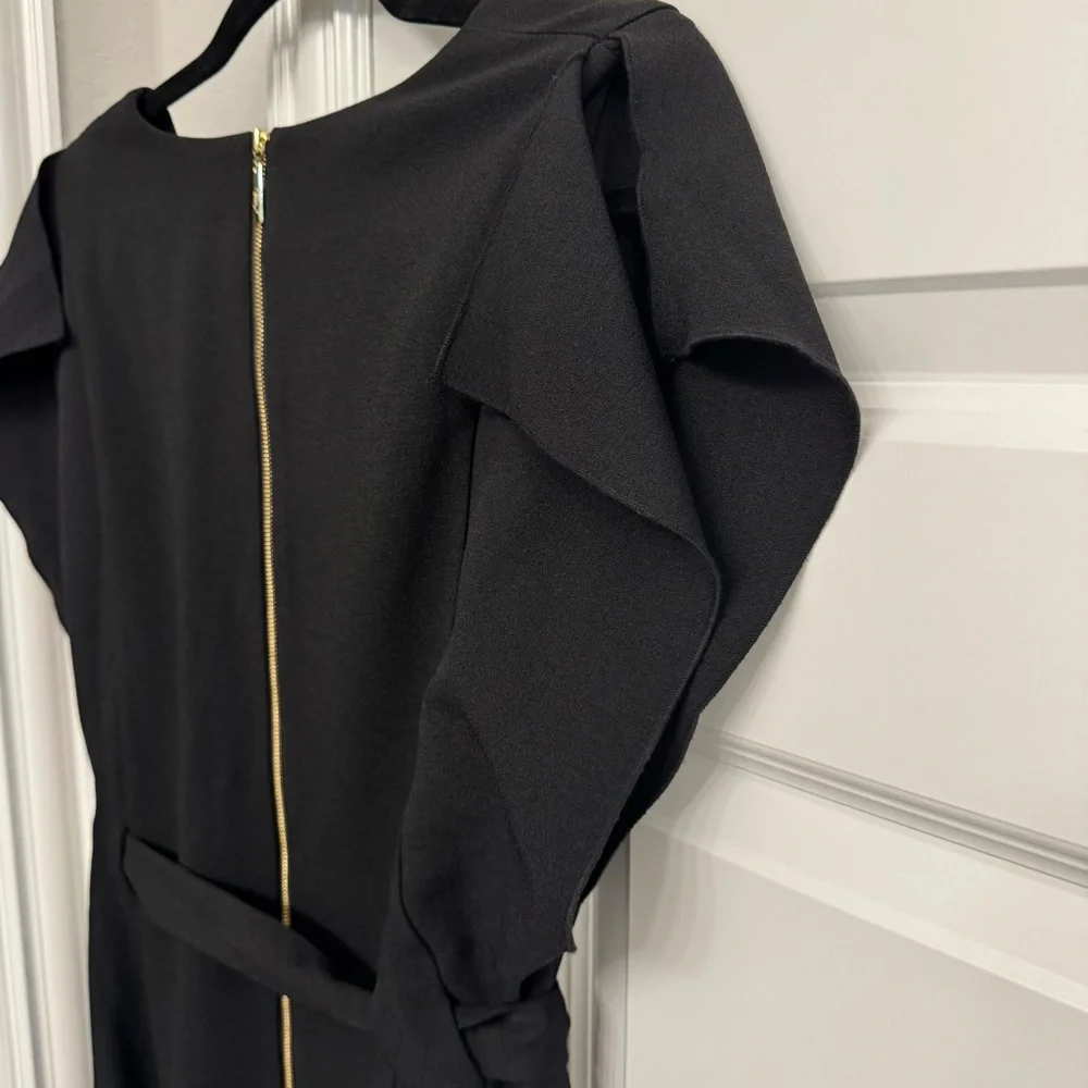 Eliza J Ruffle Sleeve Sheath Dress - Picture 4 of 6